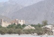 ജബൽ അൽ-അബ്യാദിലെ മലനിരകളിൽ കാണാതായ ഏഷ്യൻ പൗരനെ കണ്ടെത്തിയതായി ഒമാൻ സിവിൽ ഡിഫെൻസ് അറിയിച്ചു ..