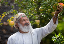 ജബൽ അക്തർ ടൂറിസം ഫെസ്റ്റിവൽ ഈ മാസം അവസാനം