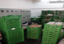 അനധികൃത പച്ചക്കറി വിൽപ്പന; മുനിസിപ്പാലിറ്റി റെയ്ഡ്