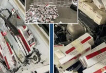 ഒമാനിൽ വാഹനത്തിന്റെ വിവിധ ഭാഗങ്ങളില് ഒളിപ്പിച്ച് കടത്തിയ നിരോധിത സിഗരറ്റ് പിടികൂടി