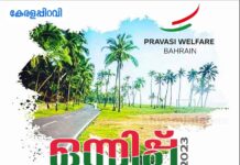 ജില്ലാഅസോസിയേഷനുകളുടെ ഒന്നിപ്പുമായി പ്രവാസി വെൽഫെയർ
