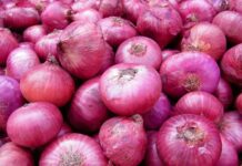 യുഎഇയിലേക്ക് സവാള കയറ്റുമതിക്ക് ഇന്ത്യ വീണ്ടും അനുമതി നല്കിയാതായി റിപ്പോർട്ട്