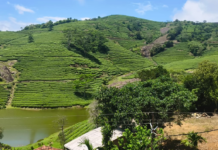 വാഗമൺ പുള്ളിക്കാനം തേയില തടാകം കണ്ട് രാപ്പാർക്കാം:ട്രാവൽ വ്ലോഗ് – സുനിൽ തോമസ് റാന്നി