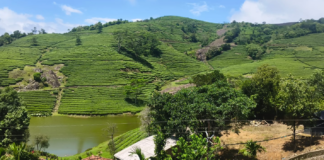 വാഗമൺ പുള്ളിക്കാനം തേയില തടാകം കണ്ട് രാപ്പാർക്കാം:ട്രാവൽ വ്ലോഗ് – സുനിൽ തോമസ് റാന്നി