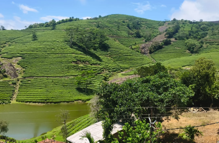 വാഗമൺ പുള്ളിക്കാനം തേയില തടാകം കണ്ട് രാപ്പാർക്കാം:ട്രാവൽ വ്ലോഗ് – സുനിൽ തോമസ് റാന്നി